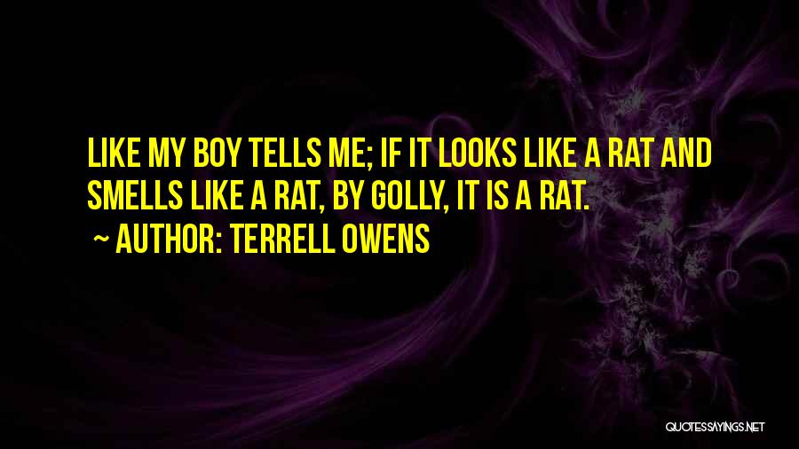 Terrell Owens Quotes: Like My Boy Tells Me; If It Looks Like A Rat And Smells Like A Rat, By Golly, It Is