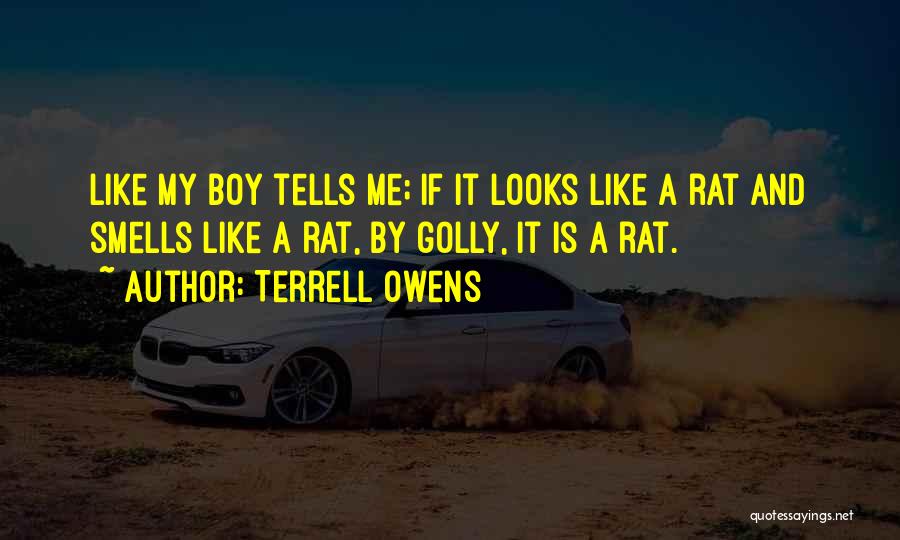 Terrell Owens Quotes: Like My Boy Tells Me; If It Looks Like A Rat And Smells Like A Rat, By Golly, It Is