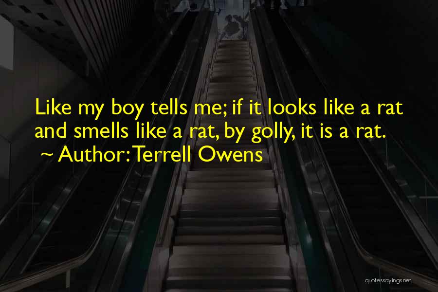 Terrell Owens Quotes: Like My Boy Tells Me; If It Looks Like A Rat And Smells Like A Rat, By Golly, It Is