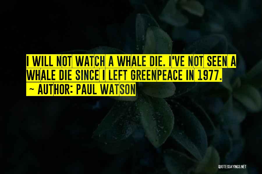 Paul Watson Quotes: I Will Not Watch A Whale Die. I've Not Seen A Whale Die Since I Left Greenpeace In 1977.