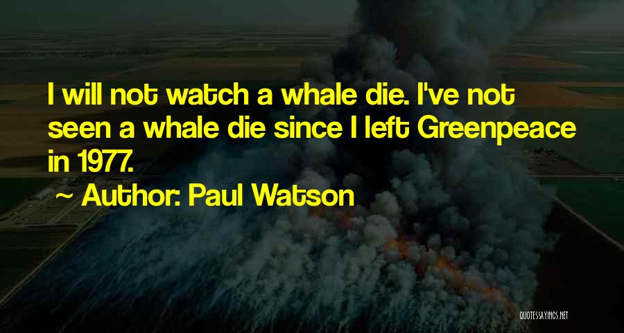 Paul Watson Quotes: I Will Not Watch A Whale Die. I've Not Seen A Whale Die Since I Left Greenpeace In 1977.