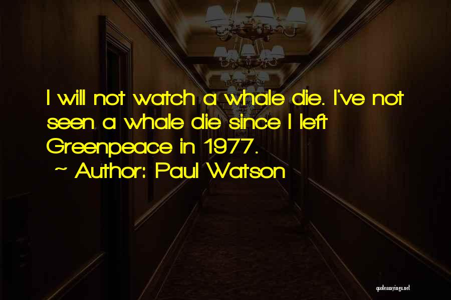 Paul Watson Quotes: I Will Not Watch A Whale Die. I've Not Seen A Whale Die Since I Left Greenpeace In 1977.