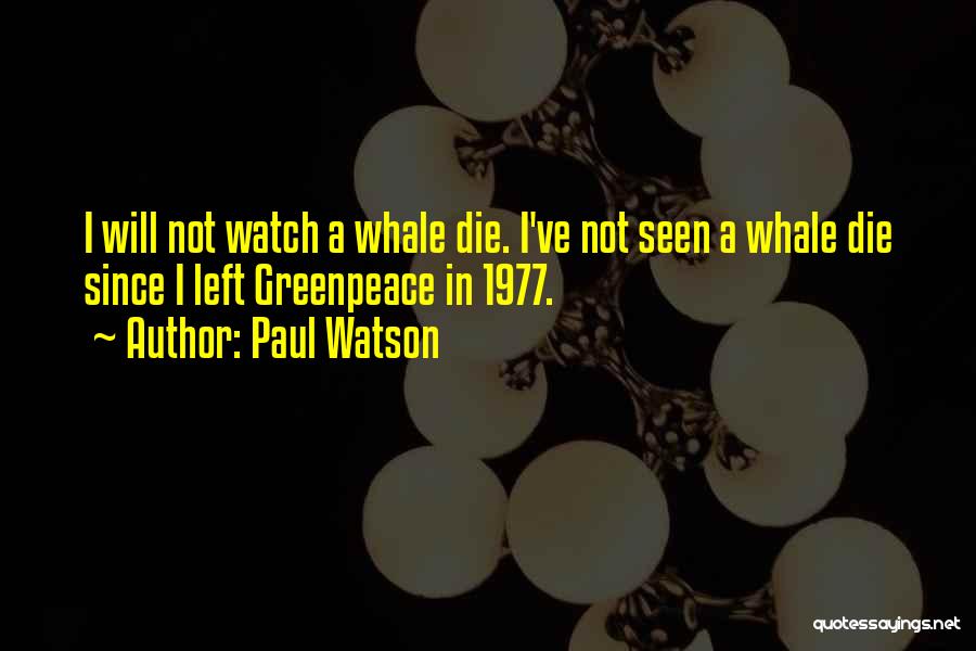 Paul Watson Quotes: I Will Not Watch A Whale Die. I've Not Seen A Whale Die Since I Left Greenpeace In 1977.