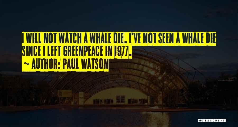 Paul Watson Quotes: I Will Not Watch A Whale Die. I've Not Seen A Whale Die Since I Left Greenpeace In 1977.