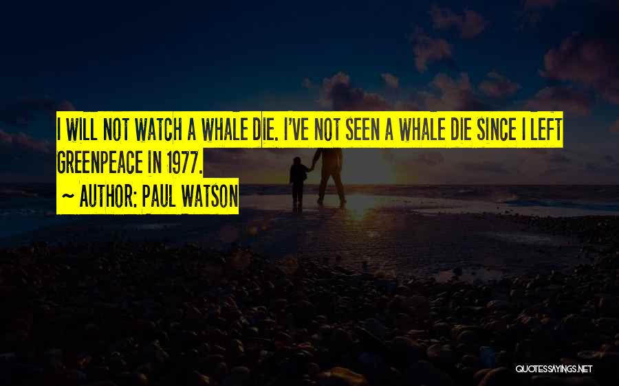 Paul Watson Quotes: I Will Not Watch A Whale Die. I've Not Seen A Whale Die Since I Left Greenpeace In 1977.