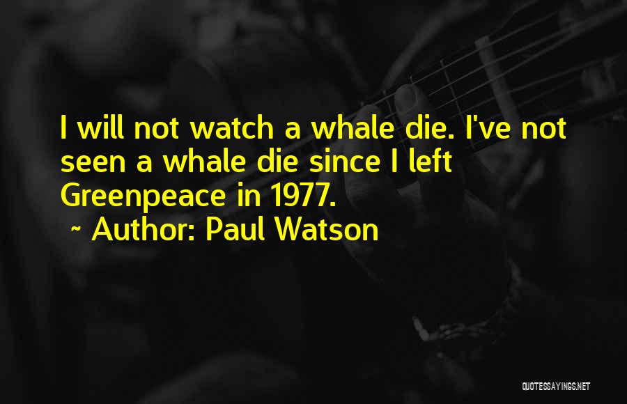 Paul Watson Quotes: I Will Not Watch A Whale Die. I've Not Seen A Whale Die Since I Left Greenpeace In 1977.