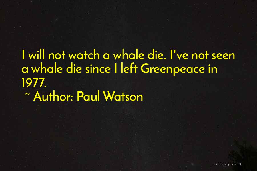 Paul Watson Quotes: I Will Not Watch A Whale Die. I've Not Seen A Whale Die Since I Left Greenpeace In 1977.
