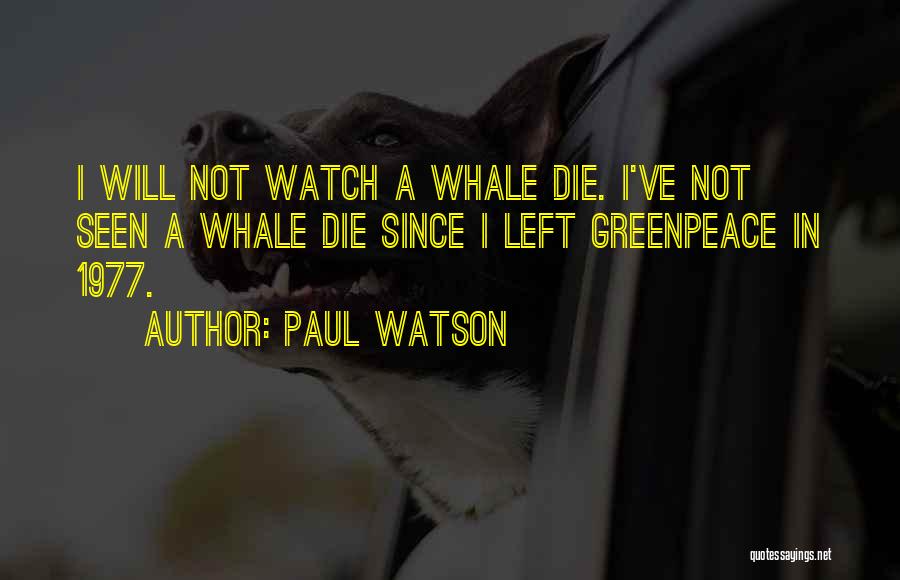 Paul Watson Quotes: I Will Not Watch A Whale Die. I've Not Seen A Whale Die Since I Left Greenpeace In 1977.