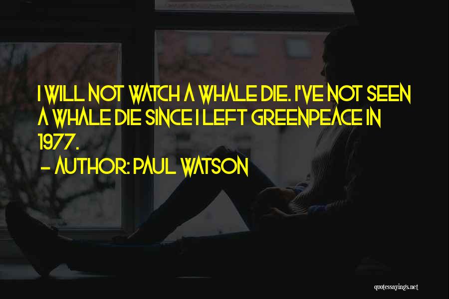 Paul Watson Quotes: I Will Not Watch A Whale Die. I've Not Seen A Whale Die Since I Left Greenpeace In 1977.