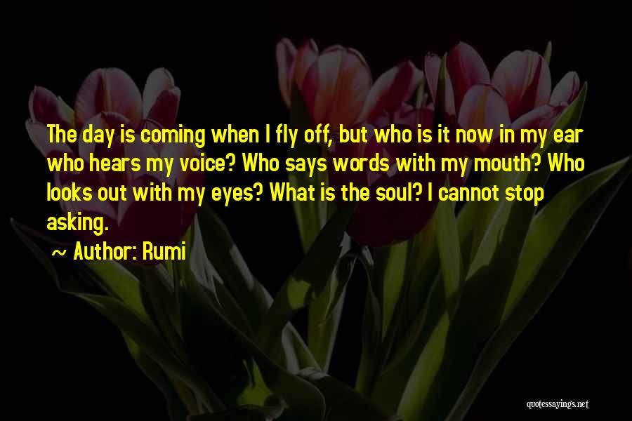 Rumi Quotes: The Day Is Coming When I Fly Off, But Who Is It Now In My Ear Who Hears My Voice?