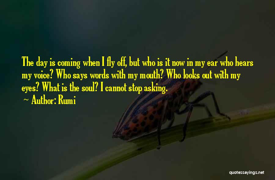 Rumi Quotes: The Day Is Coming When I Fly Off, But Who Is It Now In My Ear Who Hears My Voice?