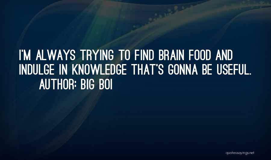Big Boi Quotes: I'm Always Trying To Find Brain Food And Indulge In Knowledge That's Gonna Be Useful.