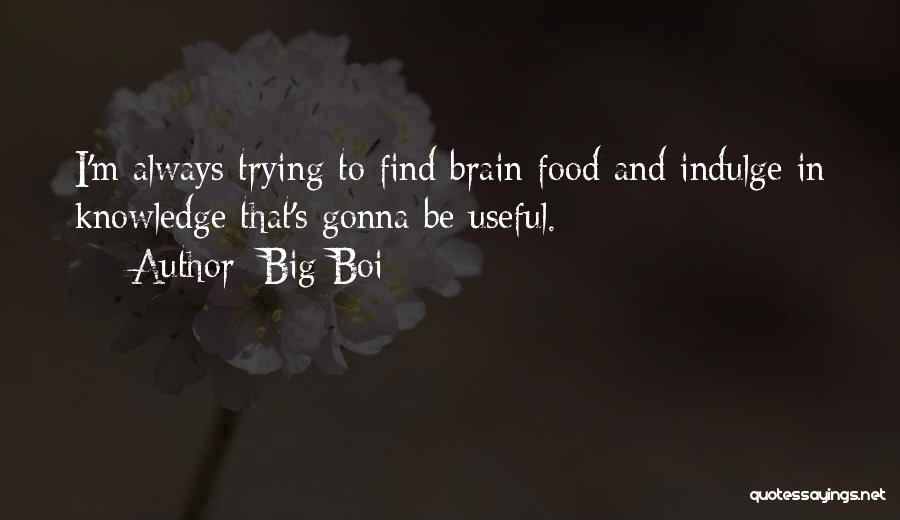 Big Boi Quotes: I'm Always Trying To Find Brain Food And Indulge In Knowledge That's Gonna Be Useful.