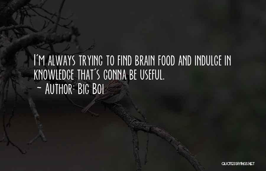 Big Boi Quotes: I'm Always Trying To Find Brain Food And Indulge In Knowledge That's Gonna Be Useful.