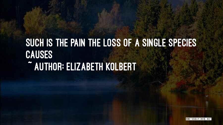 Elizabeth Kolbert Quotes: Such Is The Pain The Loss Of A Single Species Causes