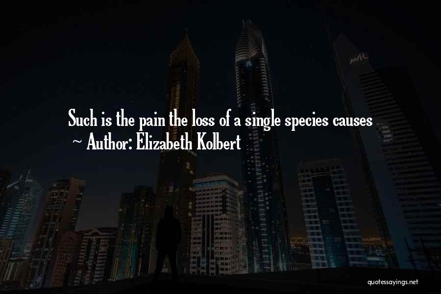 Elizabeth Kolbert Quotes: Such Is The Pain The Loss Of A Single Species Causes