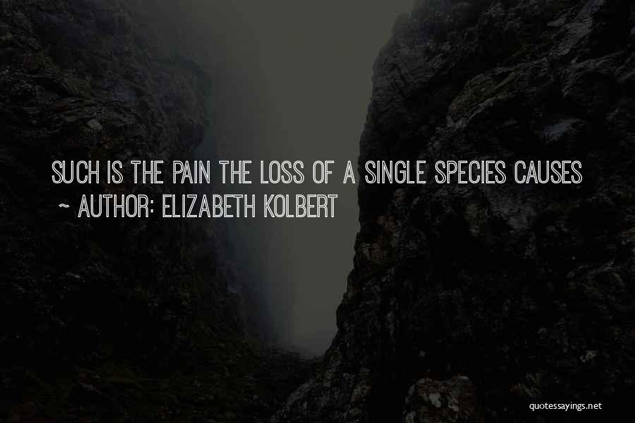 Elizabeth Kolbert Quotes: Such Is The Pain The Loss Of A Single Species Causes