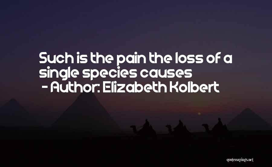 Elizabeth Kolbert Quotes: Such Is The Pain The Loss Of A Single Species Causes