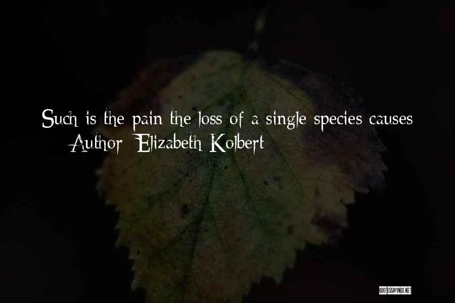 Elizabeth Kolbert Quotes: Such Is The Pain The Loss Of A Single Species Causes
