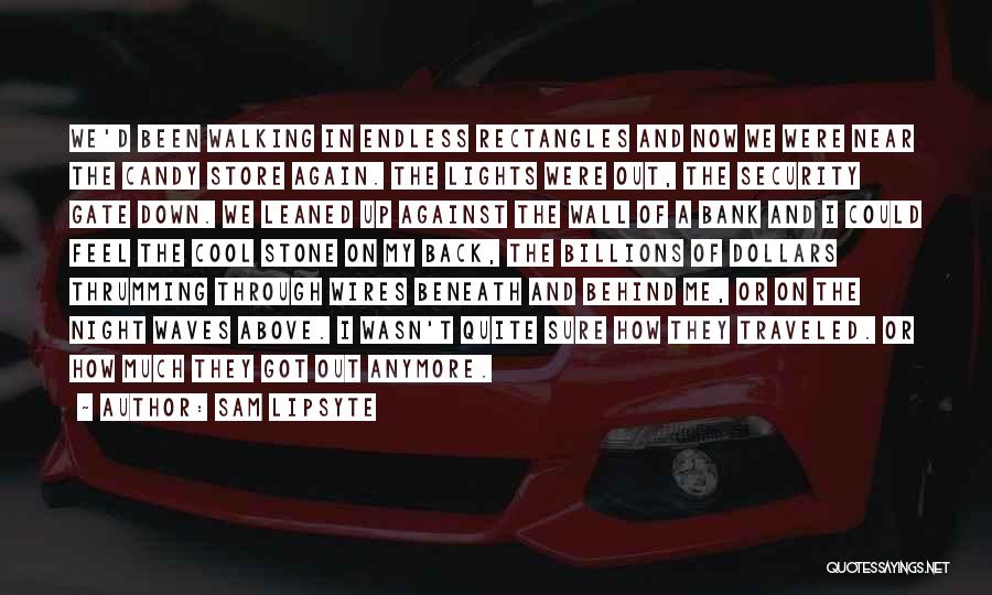 Sam Lipsyte Quotes: We'd Been Walking In Endless Rectangles And Now We Were Near The Candy Store Again. The Lights Were Out, The