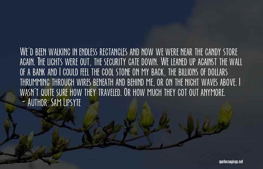 Sam Lipsyte Quotes: We'd Been Walking In Endless Rectangles And Now We Were Near The Candy Store Again. The Lights Were Out, The