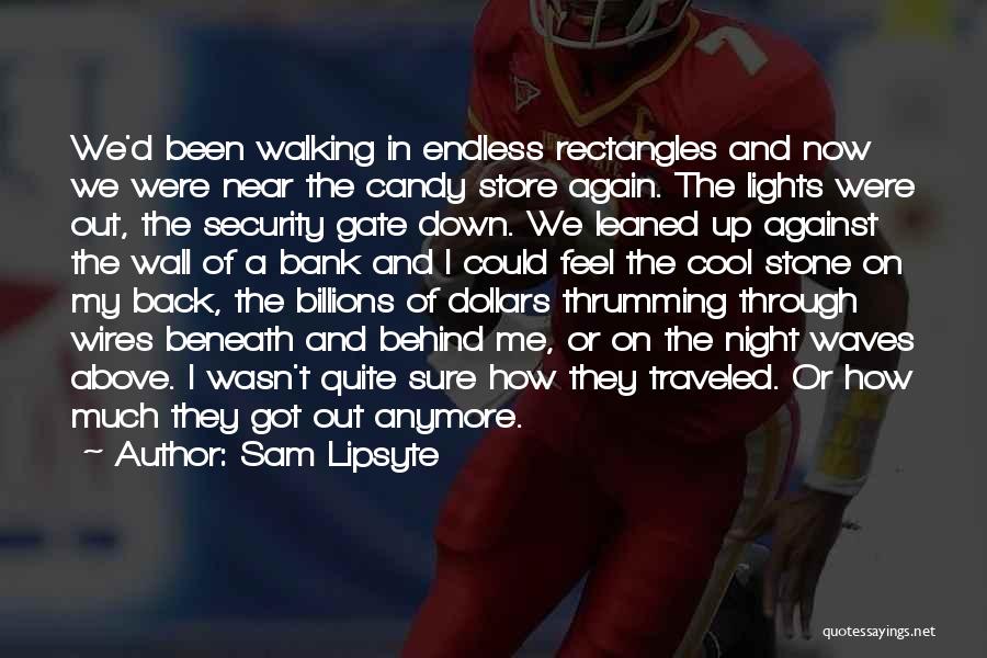 Sam Lipsyte Quotes: We'd Been Walking In Endless Rectangles And Now We Were Near The Candy Store Again. The Lights Were Out, The