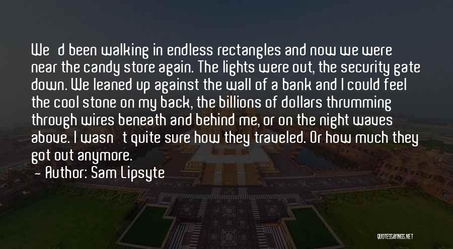 Sam Lipsyte Quotes: We'd Been Walking In Endless Rectangles And Now We Were Near The Candy Store Again. The Lights Were Out, The