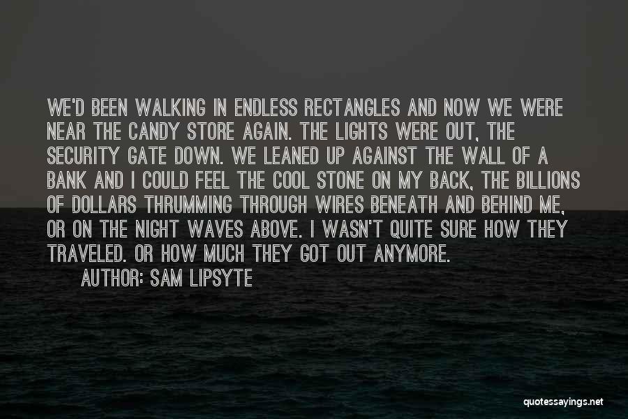 Sam Lipsyte Quotes: We'd Been Walking In Endless Rectangles And Now We Were Near The Candy Store Again. The Lights Were Out, The