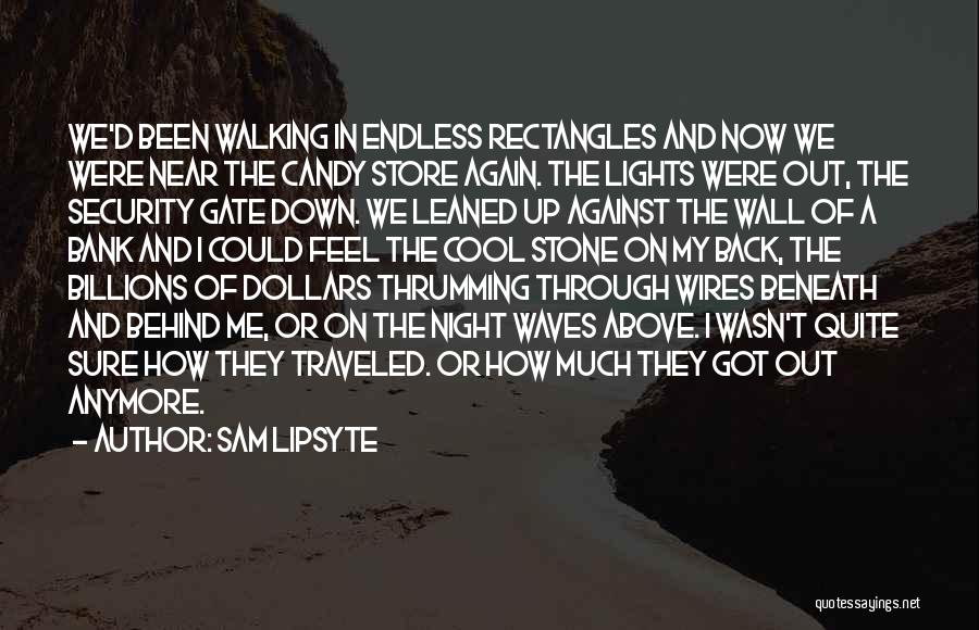 Sam Lipsyte Quotes: We'd Been Walking In Endless Rectangles And Now We Were Near The Candy Store Again. The Lights Were Out, The