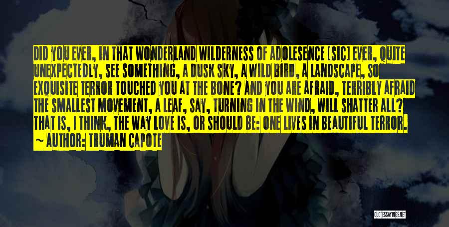 Truman Capote Quotes: Did You Ever, In That Wonderland Wilderness Of Adolesence [sic] Ever, Quite Unexpectedly, See Something, A Dusk Sky, A Wild