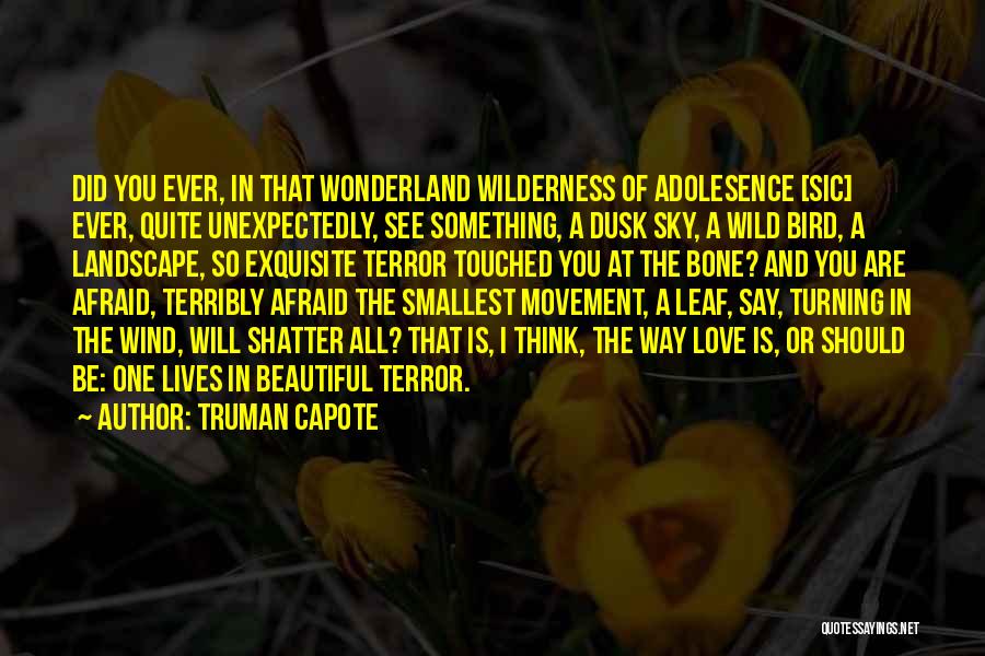 Truman Capote Quotes: Did You Ever, In That Wonderland Wilderness Of Adolesence [sic] Ever, Quite Unexpectedly, See Something, A Dusk Sky, A Wild