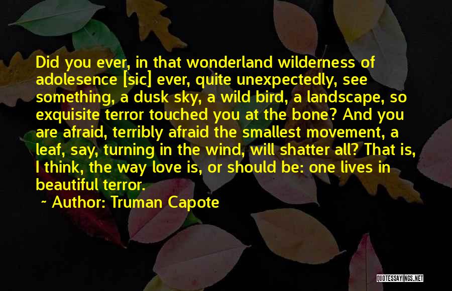 Truman Capote Quotes: Did You Ever, In That Wonderland Wilderness Of Adolesence [sic] Ever, Quite Unexpectedly, See Something, A Dusk Sky, A Wild