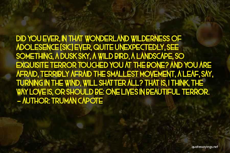 Truman Capote Quotes: Did You Ever, In That Wonderland Wilderness Of Adolesence [sic] Ever, Quite Unexpectedly, See Something, A Dusk Sky, A Wild