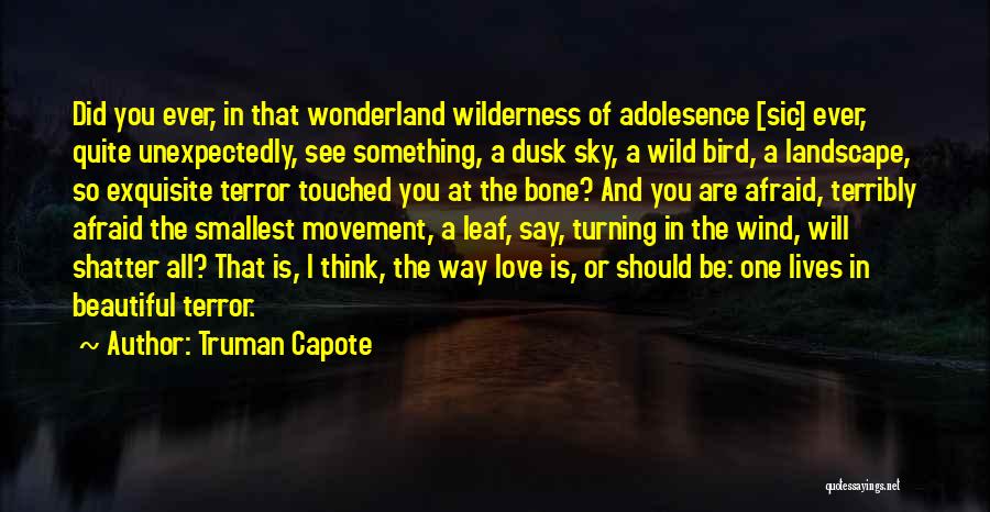 Truman Capote Quotes: Did You Ever, In That Wonderland Wilderness Of Adolesence [sic] Ever, Quite Unexpectedly, See Something, A Dusk Sky, A Wild