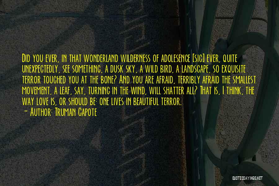 Truman Capote Quotes: Did You Ever, In That Wonderland Wilderness Of Adolesence [sic] Ever, Quite Unexpectedly, See Something, A Dusk Sky, A Wild