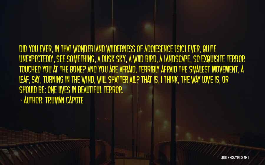 Truman Capote Quotes: Did You Ever, In That Wonderland Wilderness Of Adolesence [sic] Ever, Quite Unexpectedly, See Something, A Dusk Sky, A Wild