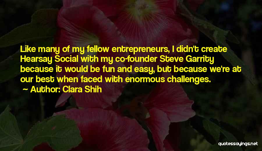 Clara Shih Quotes: Like Many Of My Fellow Entrepreneurs, I Didn't Create Hearsay Social With My Co-founder Steve Garrity Because It Would Be