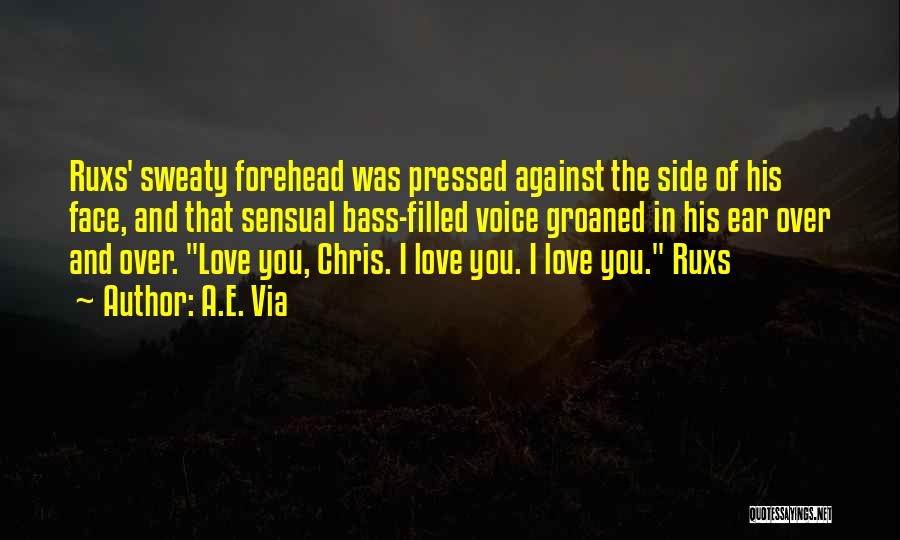 A.E. Via Quotes: Ruxs' Sweaty Forehead Was Pressed Against The Side Of His Face, And That Sensual Bass-filled Voice Groaned In His Ear