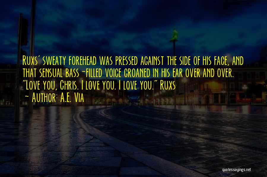 A.E. Via Quotes: Ruxs' Sweaty Forehead Was Pressed Against The Side Of His Face, And That Sensual Bass-filled Voice Groaned In His Ear