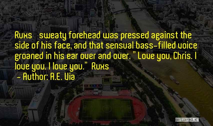 A.E. Via Quotes: Ruxs' Sweaty Forehead Was Pressed Against The Side Of His Face, And That Sensual Bass-filled Voice Groaned In His Ear