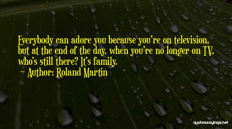 Roland Martin Quotes: Everybody Can Adore You Because You're On Television, But At The End Of The Day, When You're No Longer On