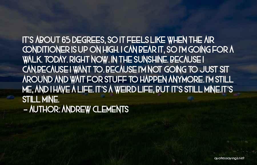 65 Life Quotes By Andrew Clements