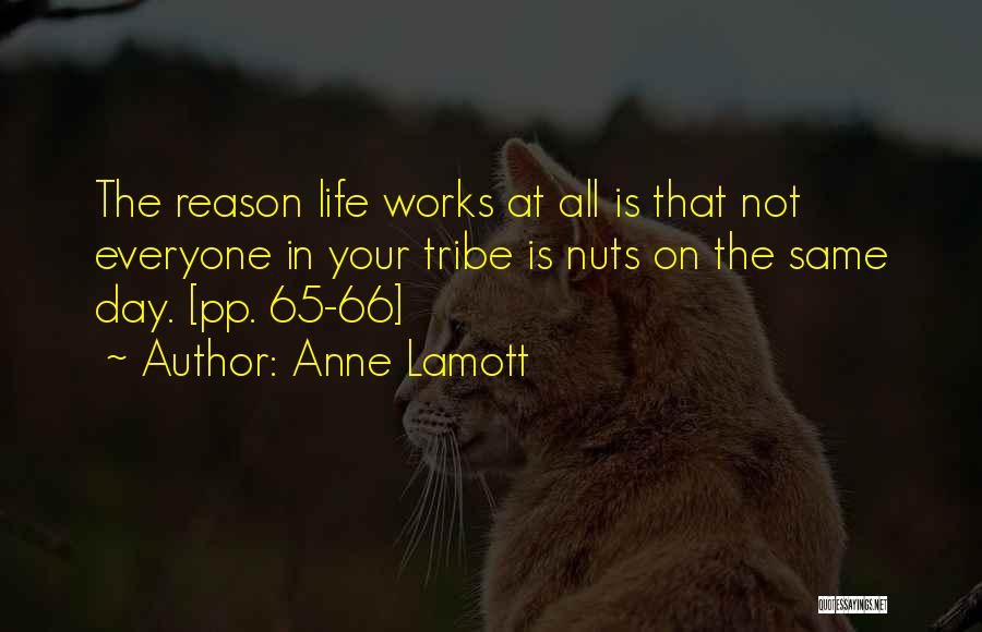 65 Life Quotes By Anne Lamott