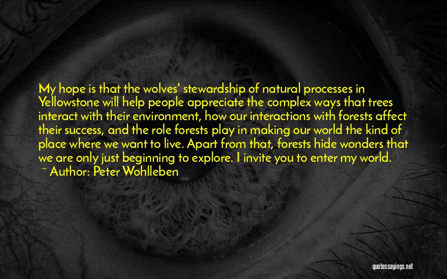 Peter Wohlleben Quotes: My Hope Is That The Wolves' Stewardship Of Natural Processes In Yellowstone Will Help People Appreciate The Complex Ways That