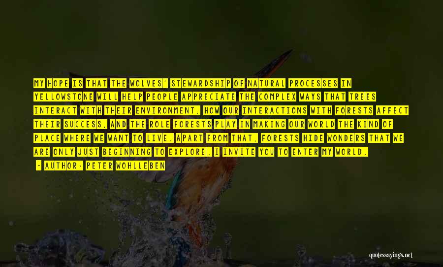 Peter Wohlleben Quotes: My Hope Is That The Wolves' Stewardship Of Natural Processes In Yellowstone Will Help People Appreciate The Complex Ways That