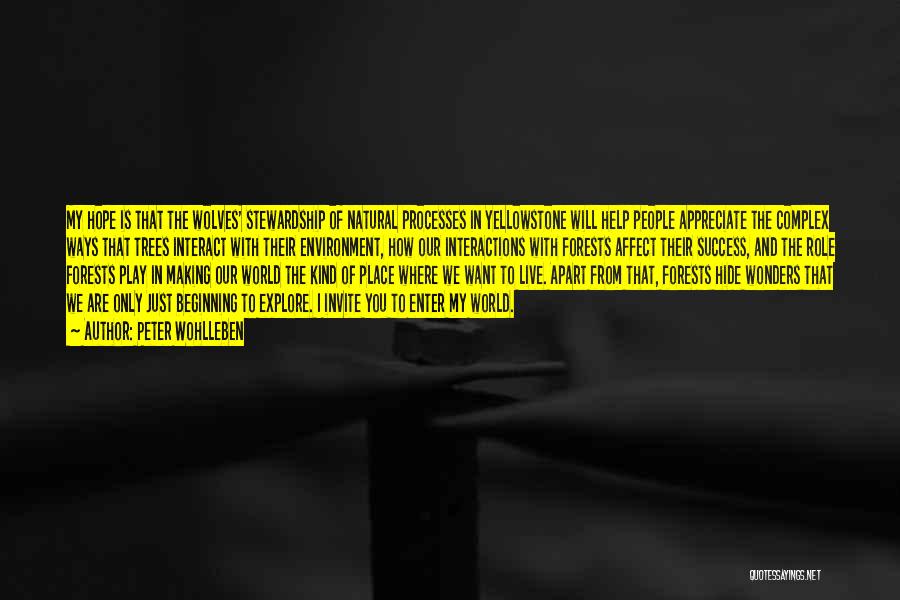 Peter Wohlleben Quotes: My Hope Is That The Wolves' Stewardship Of Natural Processes In Yellowstone Will Help People Appreciate The Complex Ways That