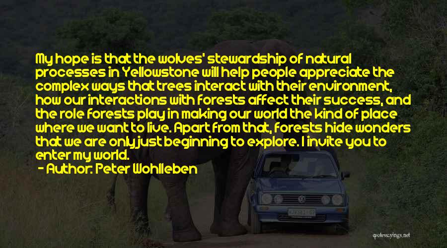 Peter Wohlleben Quotes: My Hope Is That The Wolves' Stewardship Of Natural Processes In Yellowstone Will Help People Appreciate The Complex Ways That