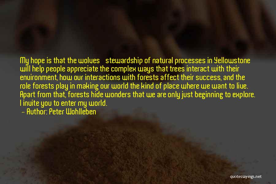 Peter Wohlleben Quotes: My Hope Is That The Wolves' Stewardship Of Natural Processes In Yellowstone Will Help People Appreciate The Complex Ways That