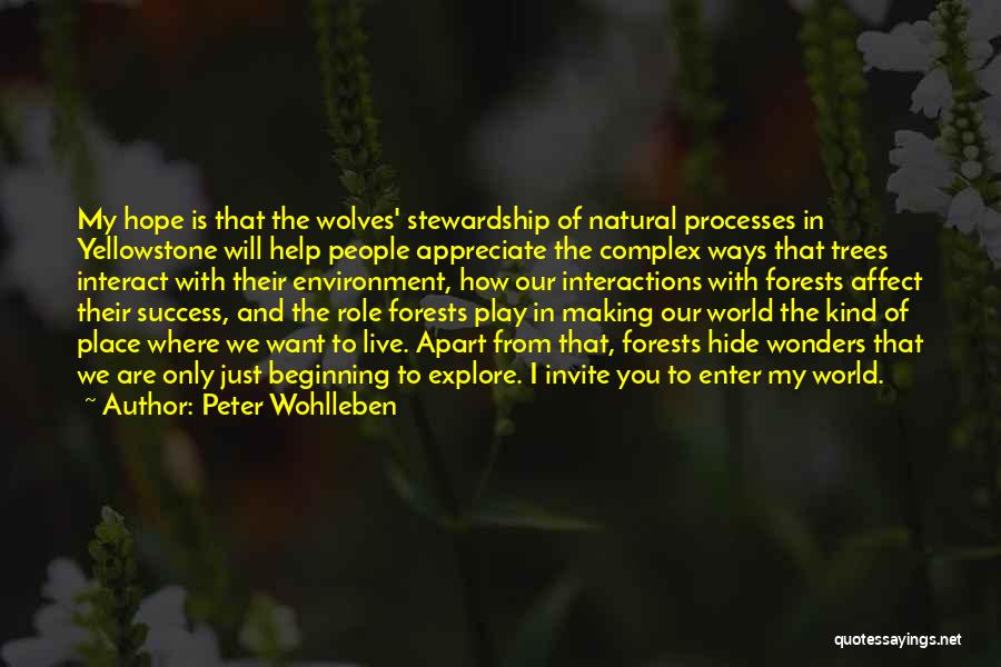 Peter Wohlleben Quotes: My Hope Is That The Wolves' Stewardship Of Natural Processes In Yellowstone Will Help People Appreciate The Complex Ways That