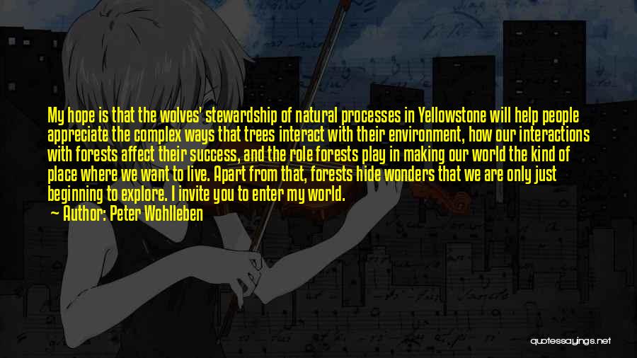 Peter Wohlleben Quotes: My Hope Is That The Wolves' Stewardship Of Natural Processes In Yellowstone Will Help People Appreciate The Complex Ways That